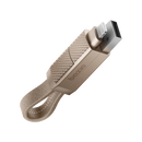 Bazic GoCharge 4 IN 1 Input USB A and USB-C to Output USB-C and Lightning Cable 15cm - Gold - سلك شحن - 4 في 1 - من يو اس بي + تايب سي - الى تايب سي + ايفون - طول 15سم - بيزك