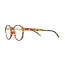 Barner Chamberi Glasses - Light Tortoise [AS] - نظارات بارنر شامبيري - لون السلحفاه الفاتح
