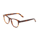 Barner Kreuzberg Glasses - Havana [AS] - نظارات بارنر كروزبرج - هافانا