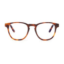 Barner Kreuzberg Glasses - Havana [AS] - نظارات بارنر كروزبرج - هافانا