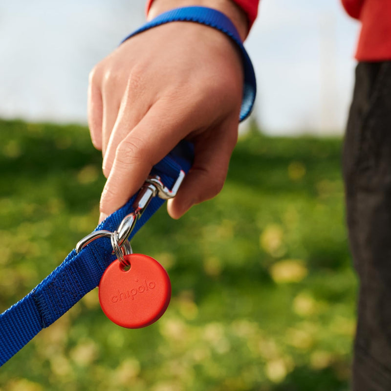 Chipolo POP 4 Pack - Tracker for Apple/Android Find My (Black, Red, White, Blue) [V] - قطعة تتبع مستلزماتكم الشخصية - تدعم نظام ابل و الاندرويد - 4 حبات - كفالة 12 شهر