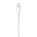 Apple Lightning to USB Cable (1M)  - سلك شحن ايفون - ابل - طول 1 متر - الاصلي - كفالة 12 شهر