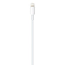 ⁨Apple USB-C to Lightning Cable (2M) - سلك شحن ايفون تايب سي - ابل الاصلي - طول 2 متر - كفالة 12 شهر